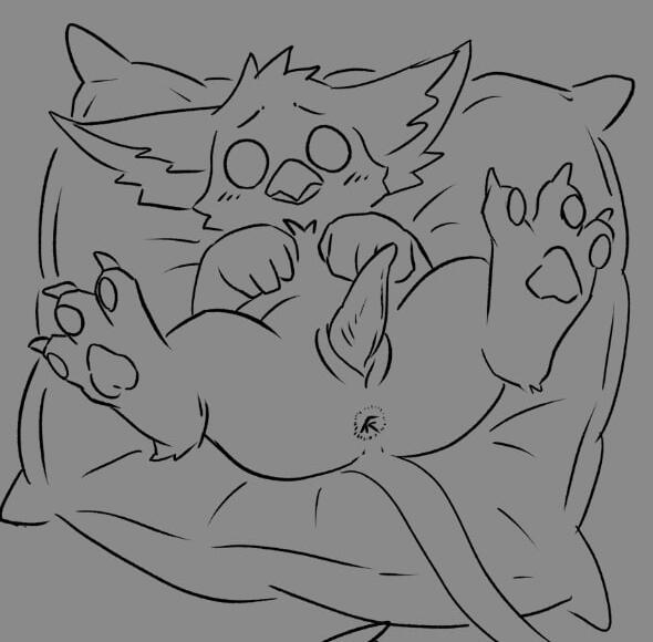 CM For Anon